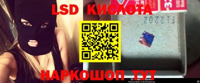 прущие грибы Конаково