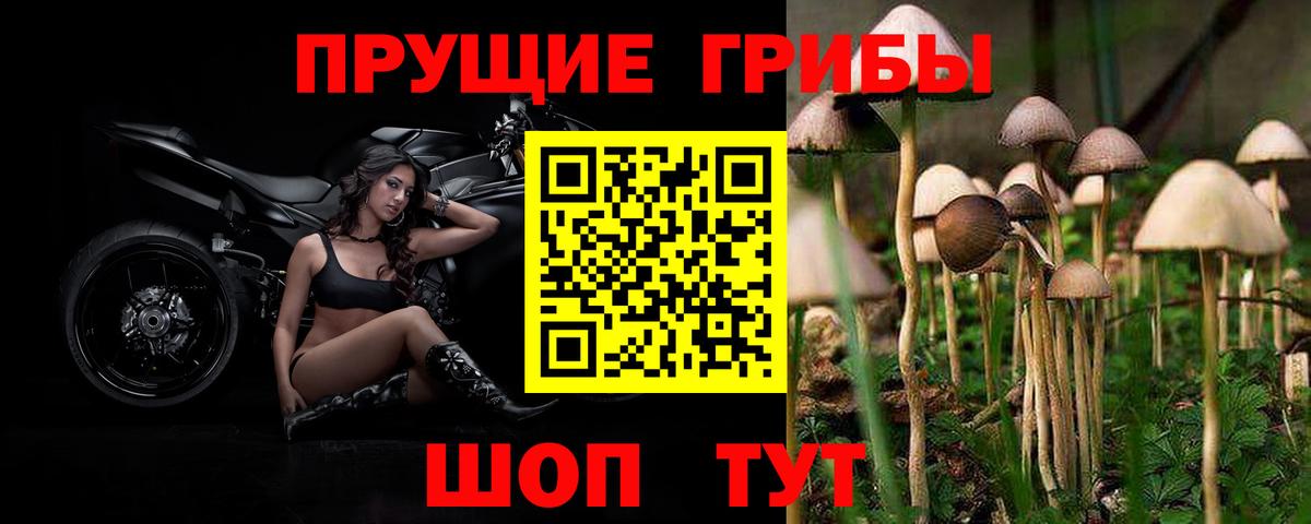 магазин  наркотиков  Вход с VPN  Хабаровск  Псилоцибиновые грибы ЛСД 